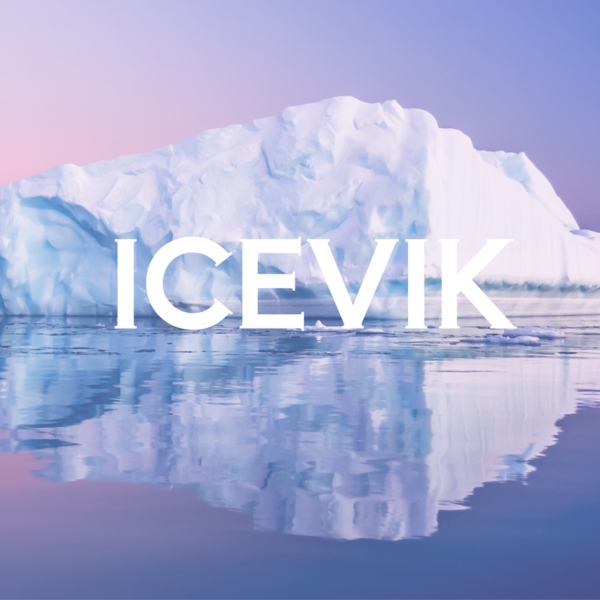 【精選產品】- ICEVIK 摺疊超薄便攜式太陽眼鏡